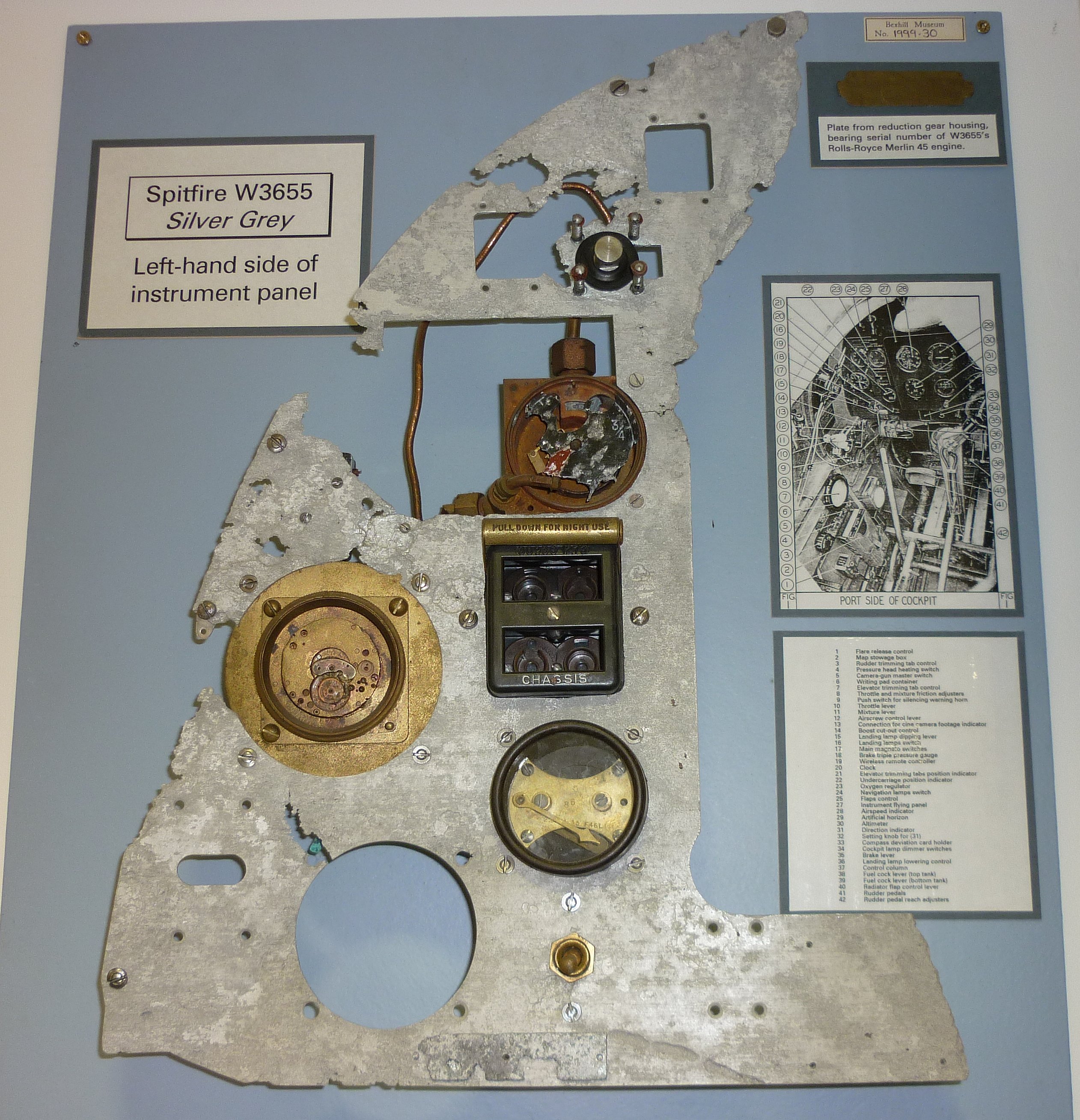 Silver Grey - Bexhill Museum